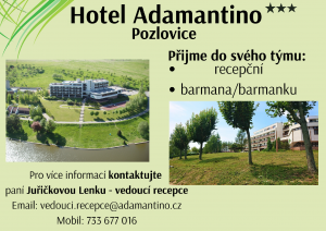 Nabídka práce 1